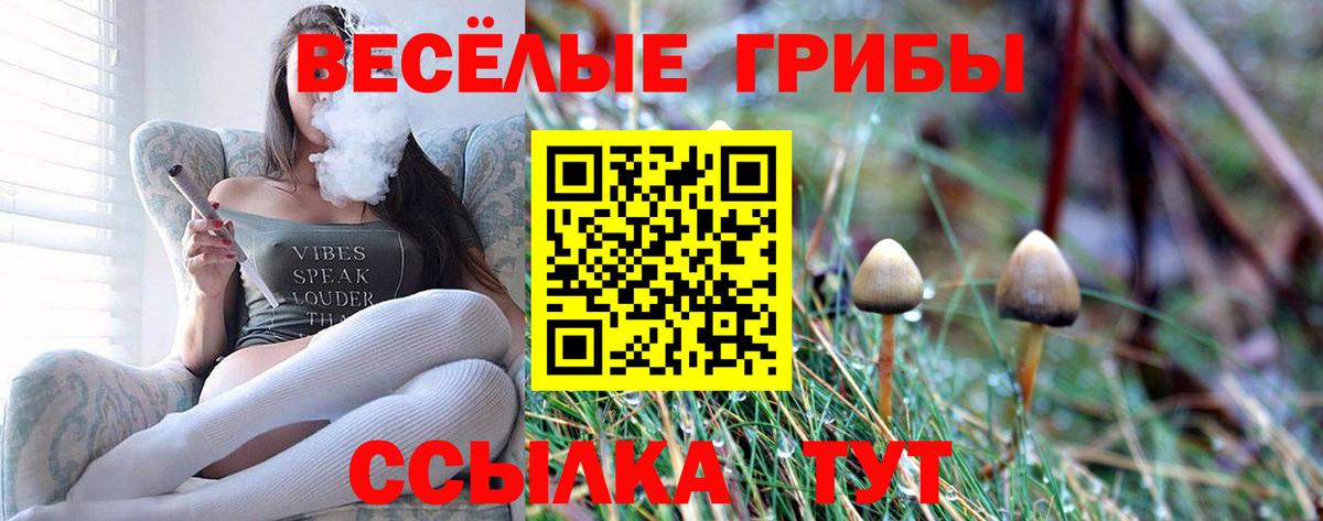 Псилоцибиновые грибы GOLDEN TEACHER  Вход с VPN  Комсомольск-на-Амуре 